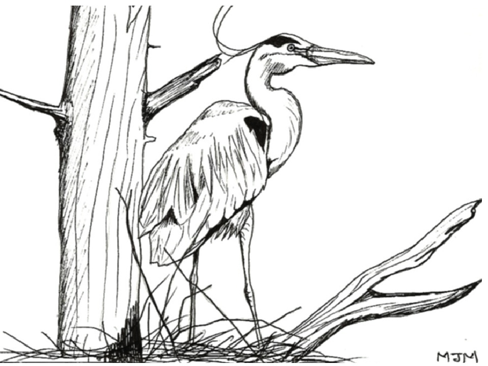 heron.jpg